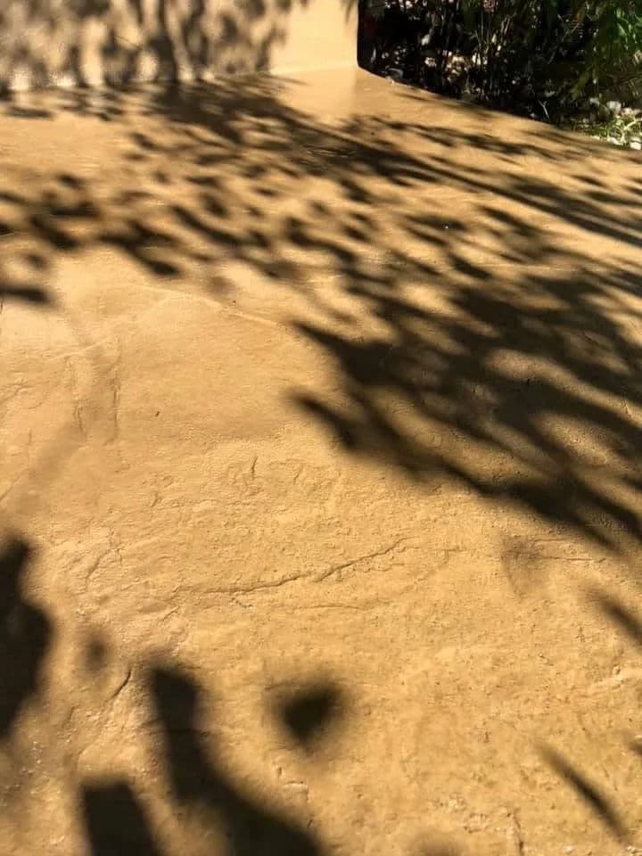 Smooth, textured surface with dynamic shadows from nearby foliage. Ideal for outdoor aesthetics.